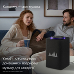 Умная колонка ЯНДЕКС Станция Макс Zigbee, 65Вт, с Алисой на YaGPT, графитовый
