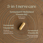 New Chapter, Holistic Nerve Health, 30 капсул