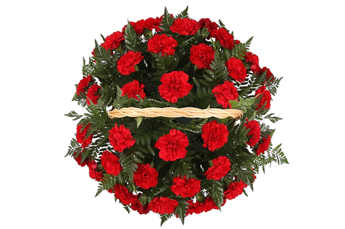 Ритуальная корзина из живых цветов «40 гвоздик, папоротник»