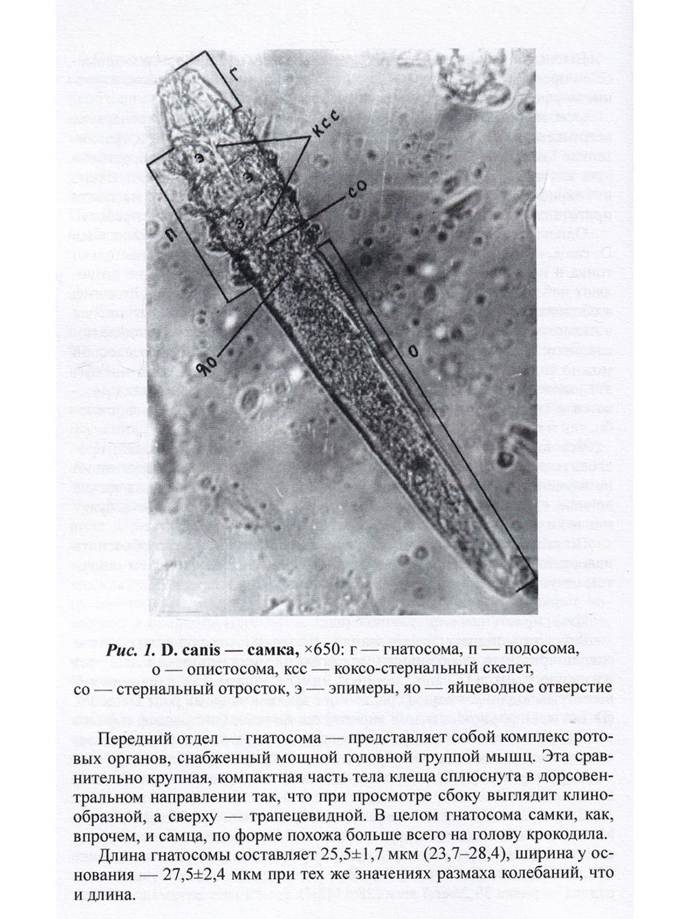 Демодекоз