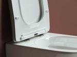 Унитаз подвесной Ceramica Nova Forma Rimless CN3009_1002W безободковый, с крышкой микролифт, с инсталляцией и белой кнопкой