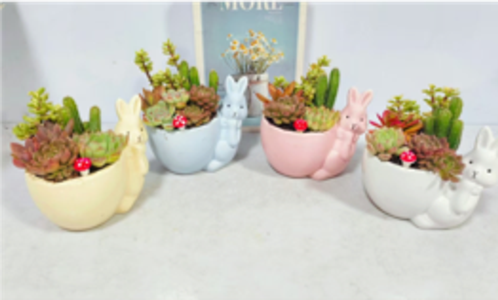 Суккулент super керамический горшок животное