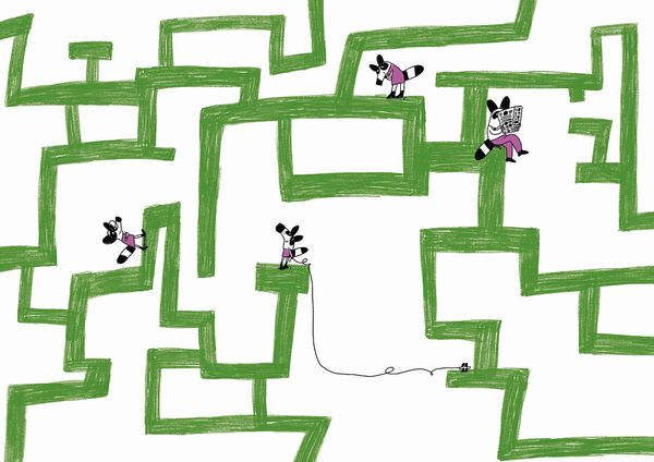 Енот в лабиринте