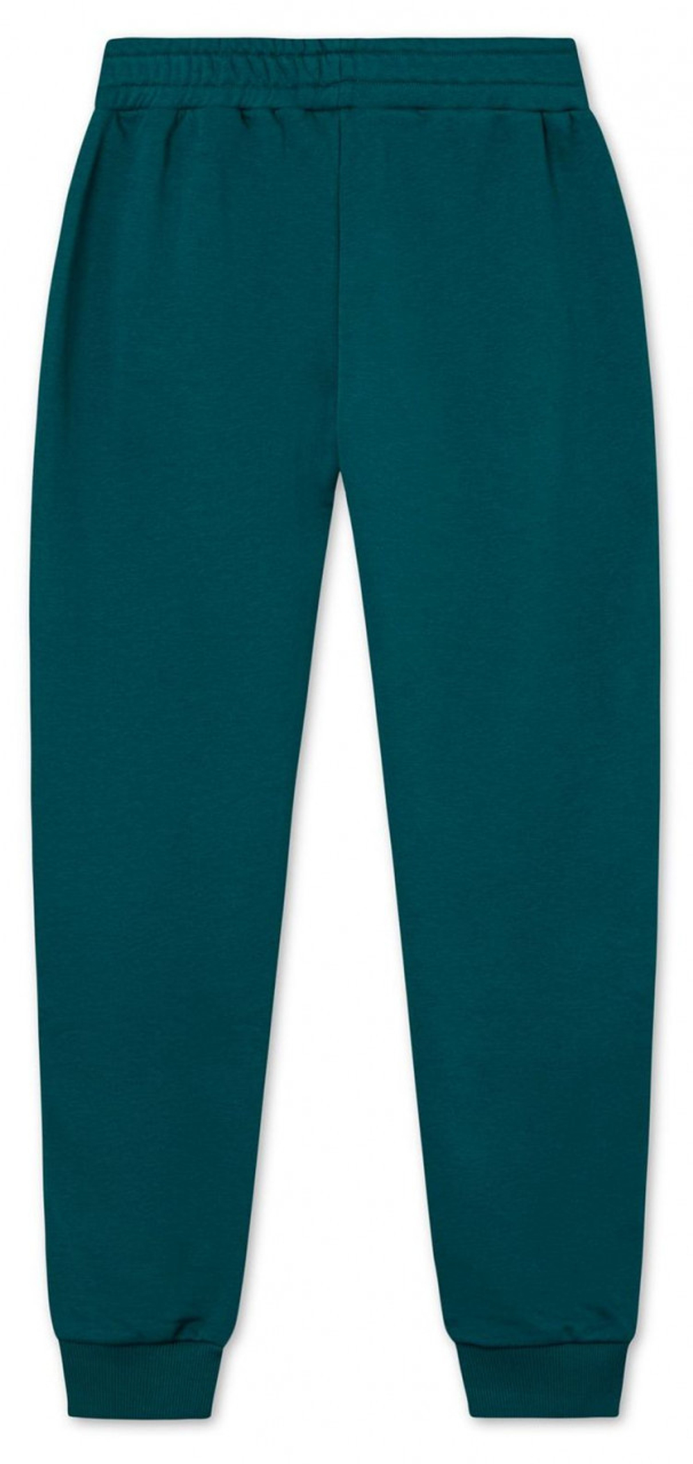 Мужские теннисные штаны Fila Hemi Track Pants Men - зеленый