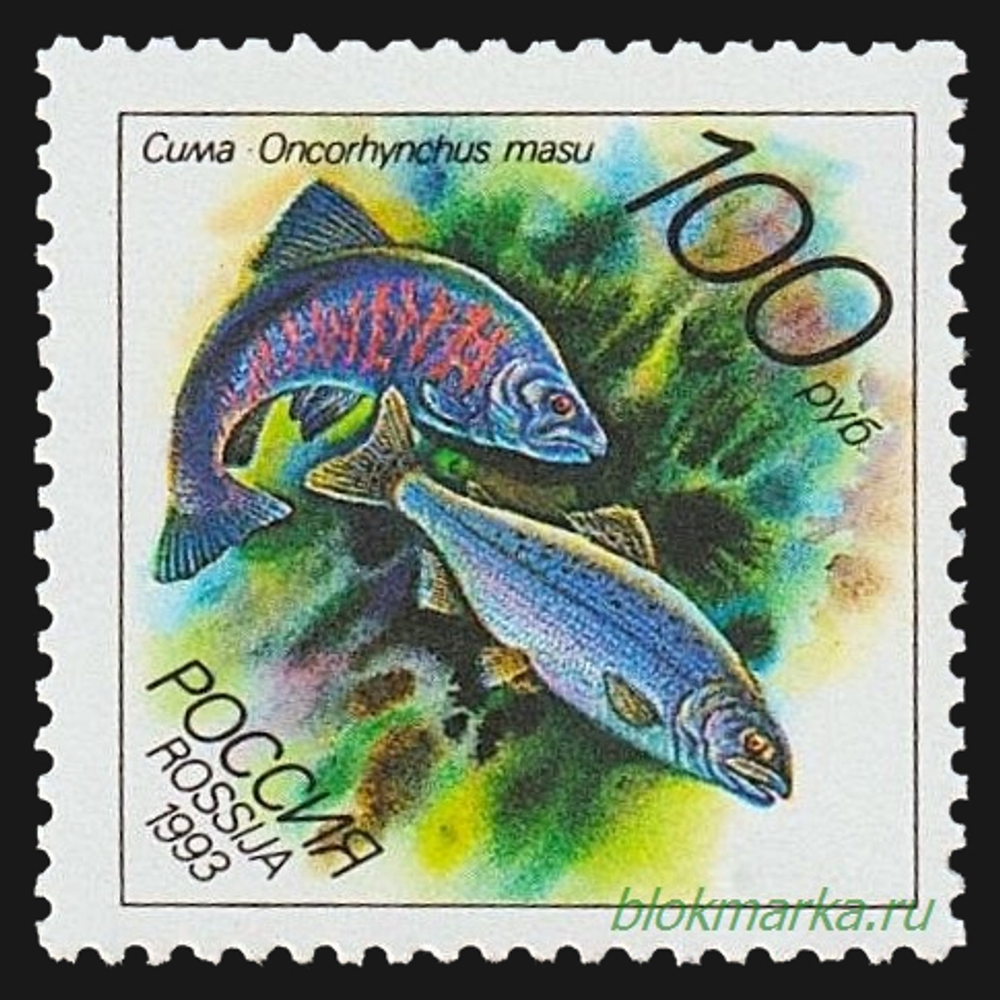 Россия 1993 г № 104-108 Серия Животные морей Тихоокеанского региона Чистая MNH **