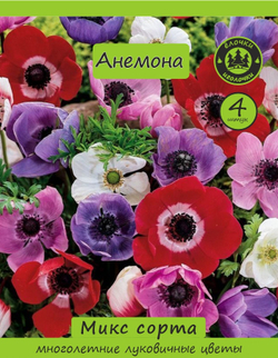Анемона луковицы, микс сорта 4шт