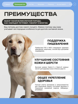 Корм сухой для взрослых собак породы Лабрадор-ретривер, с ягненком, 2.5 кг, QUATTRO