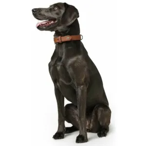 Ошейник для собак, Hunter Canadian, 60 (46-52 см) кожа лося, коньячно-черный
