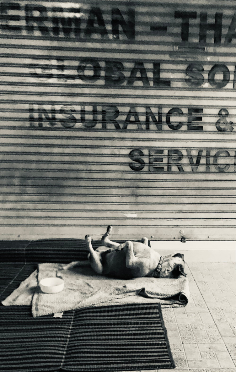 Карманный бунт: искусство быть хозяином там, где вы чужой