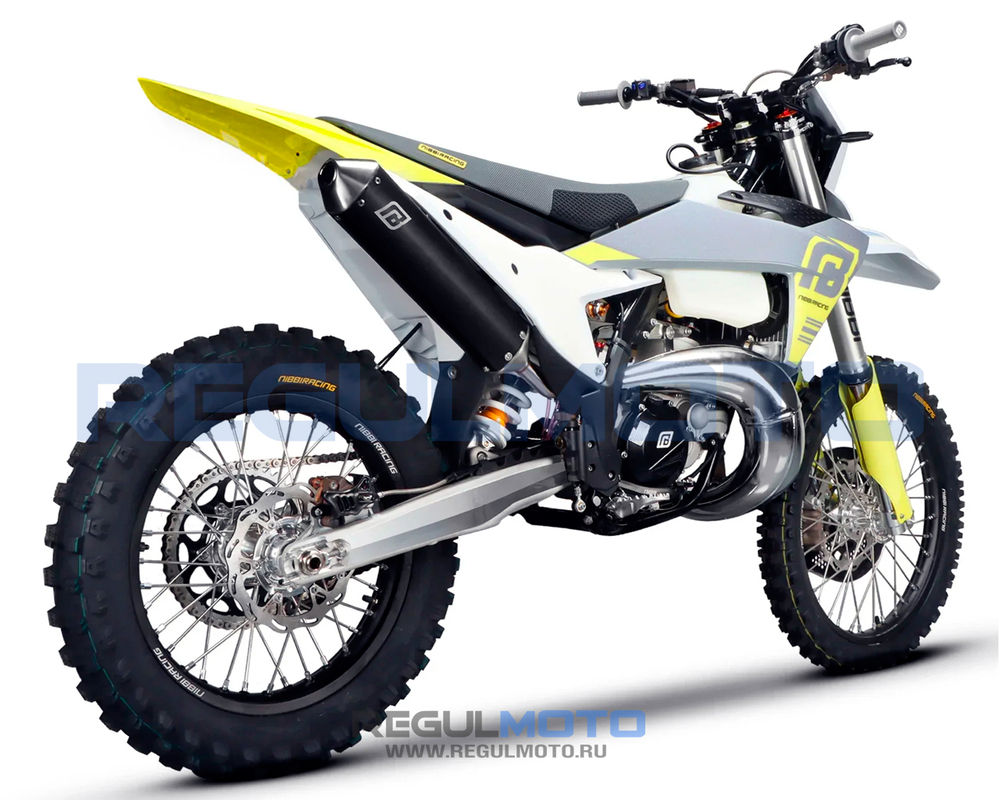 Мотоцикл Regulmoto NIBBI TE N300-SR 2T
