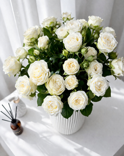 Букет "Мисс Бомбастик"🤍