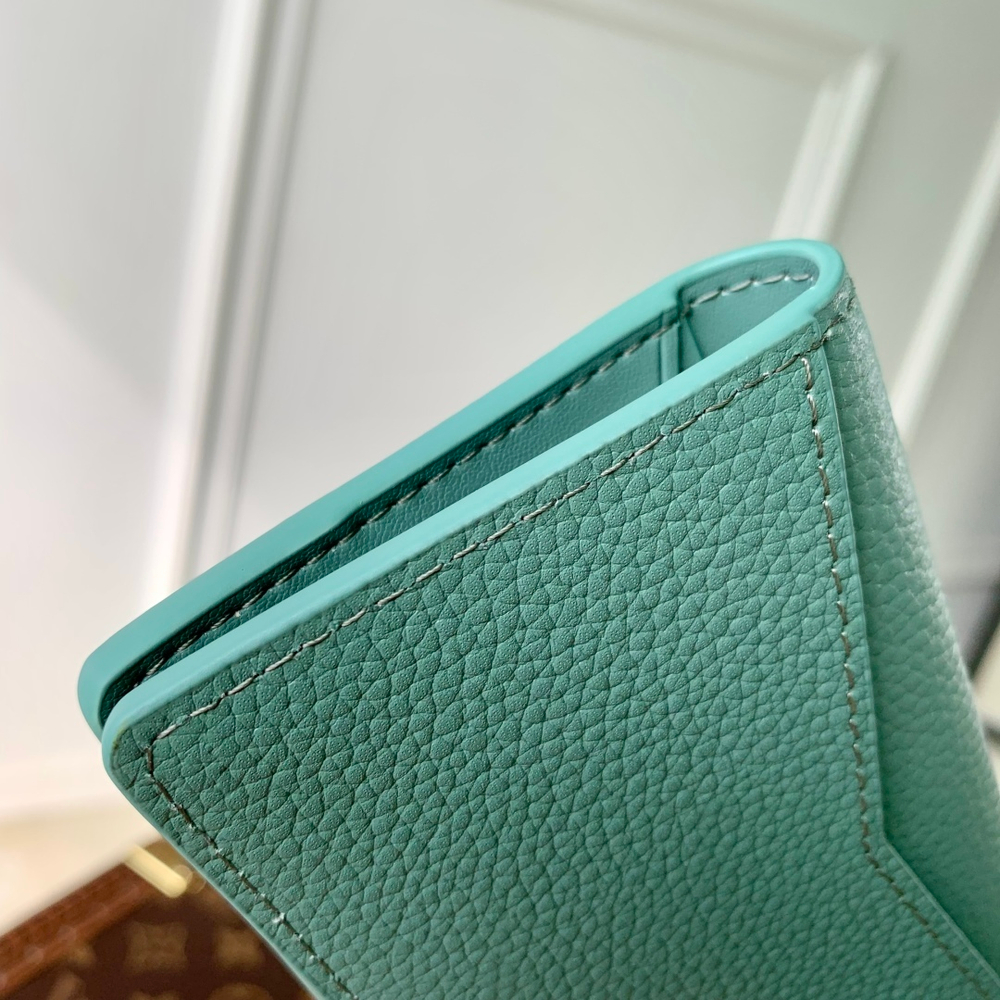 Louis Vuitton Pocket Organizer