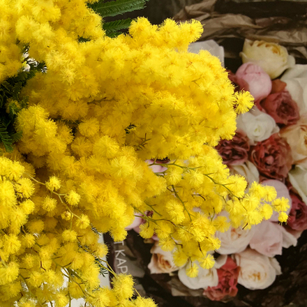 🌸☀️ букетик Весенний водоворот — душистая пушистая мимоза (h ≈ 30 см; ⌀ ≈ 25 см) — 11 веточек — 8 марта у Феи