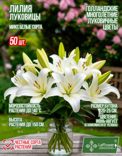Лилия Луковица, Микс белых сортов, 50шт