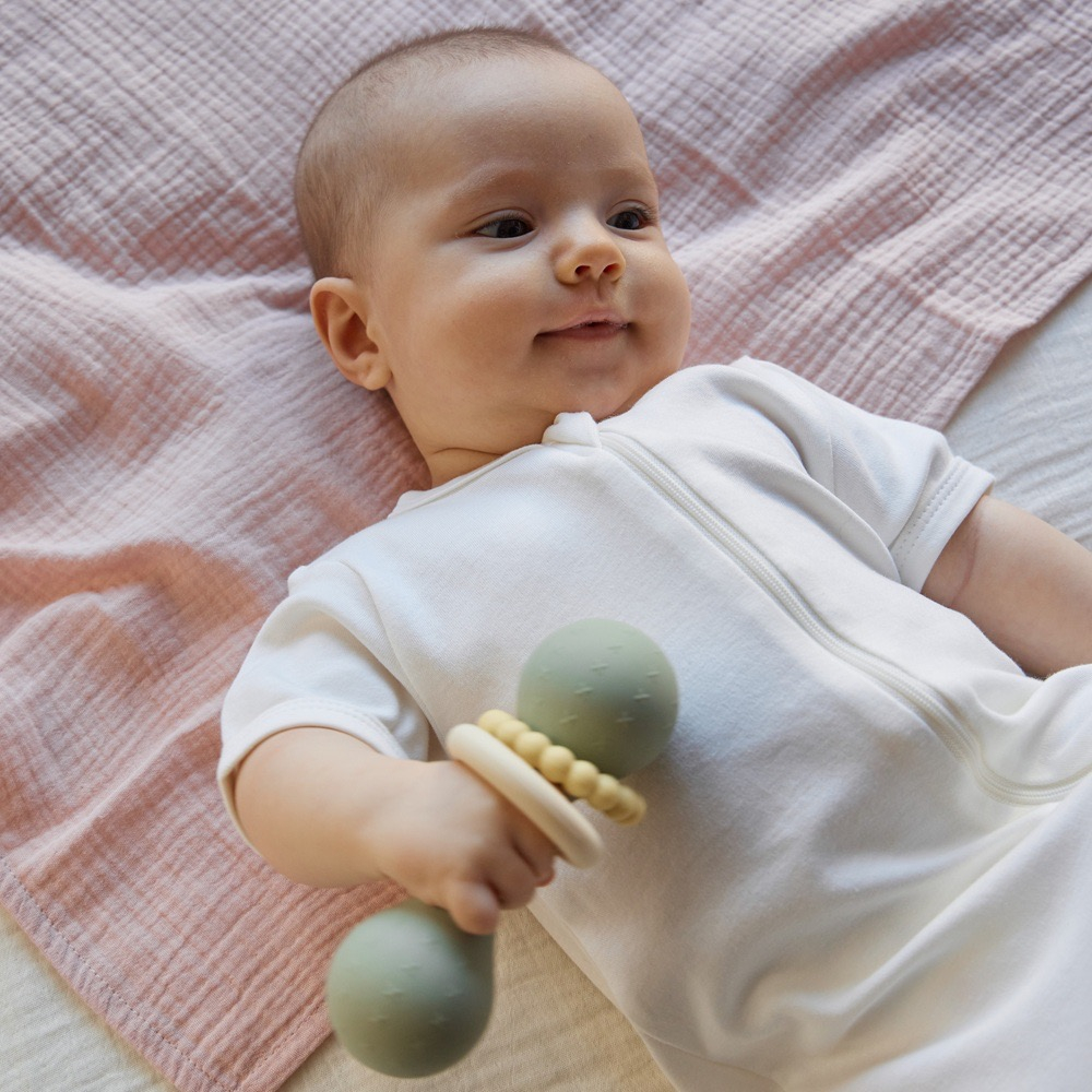 Погремушка Гантеля, Шалфей