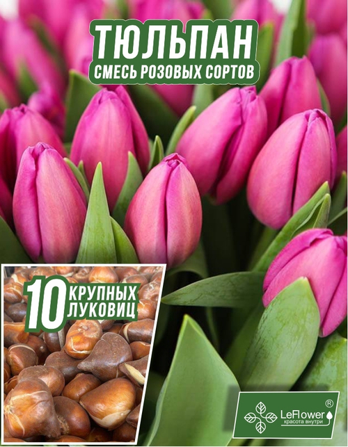 Тюльпан Луковица, Микс розовых сортов, 10шт