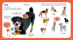 First Animals. Clever Encyclopedia