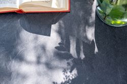 "Диего" лаунж-зона 4-местная плетеная из роупа (веревки), каркас алюминиевый темно-серый, роуп темно-серый