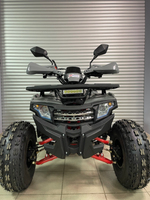 Квадроцикл PROMAX WILD 2.0 190 PRO (2025)