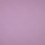 Двухслойная шерстяная ткань