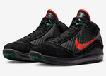 Заказать Nike LeBron 7 Florida A&M