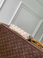 Louis Vuitton Pochette Accessoires