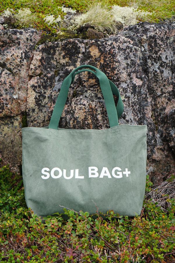 Сумка Soul Bag+ Луг - фото 1