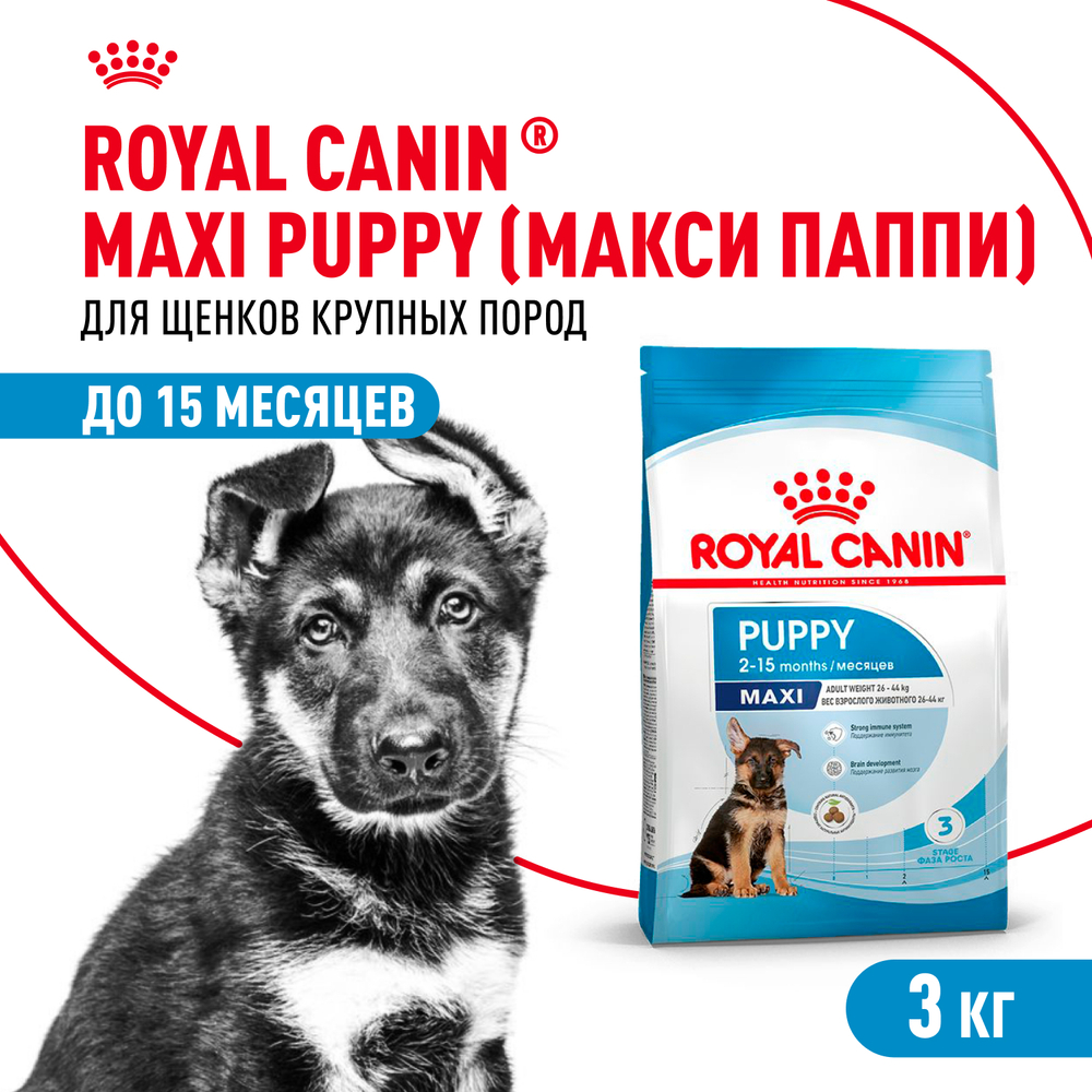 Royal Canin Maxi Puppy Корм сухой для щенков крупных размеров в возрасте до 15 месяцев - 3 кг