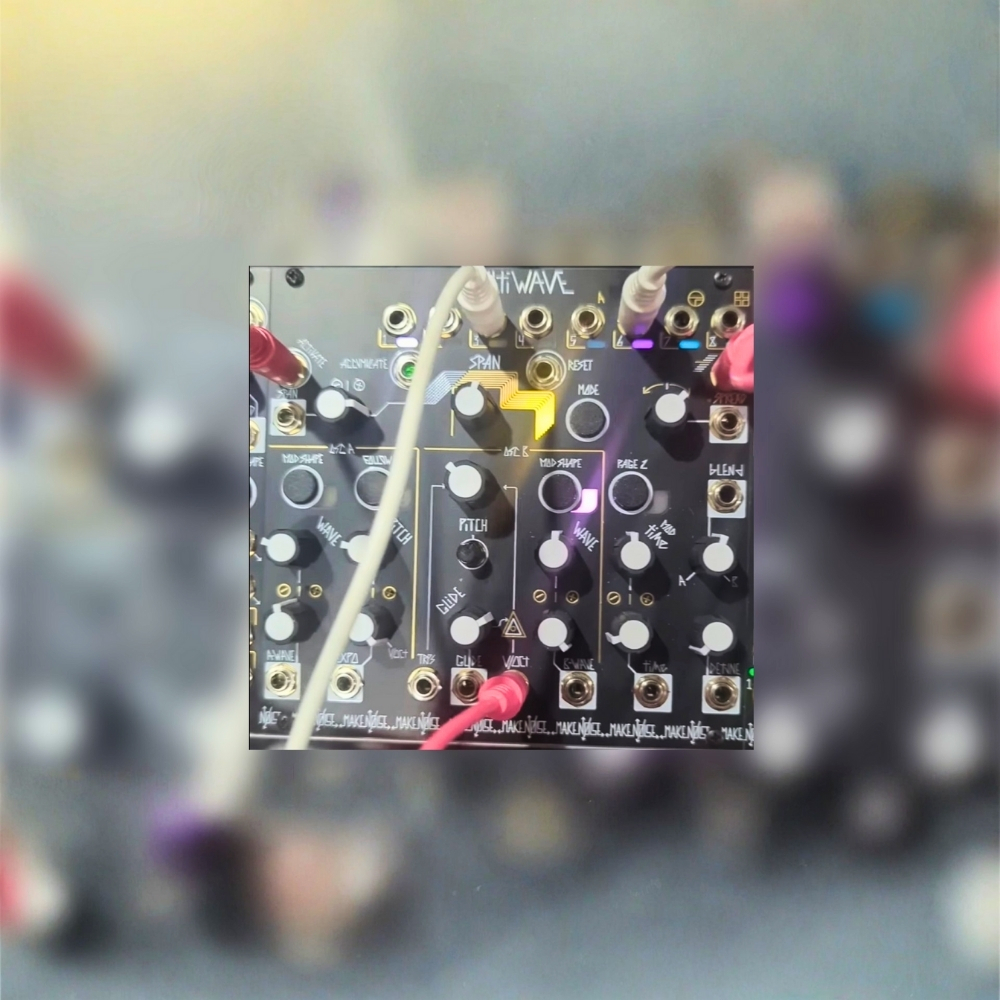 Make Noise Multiwave