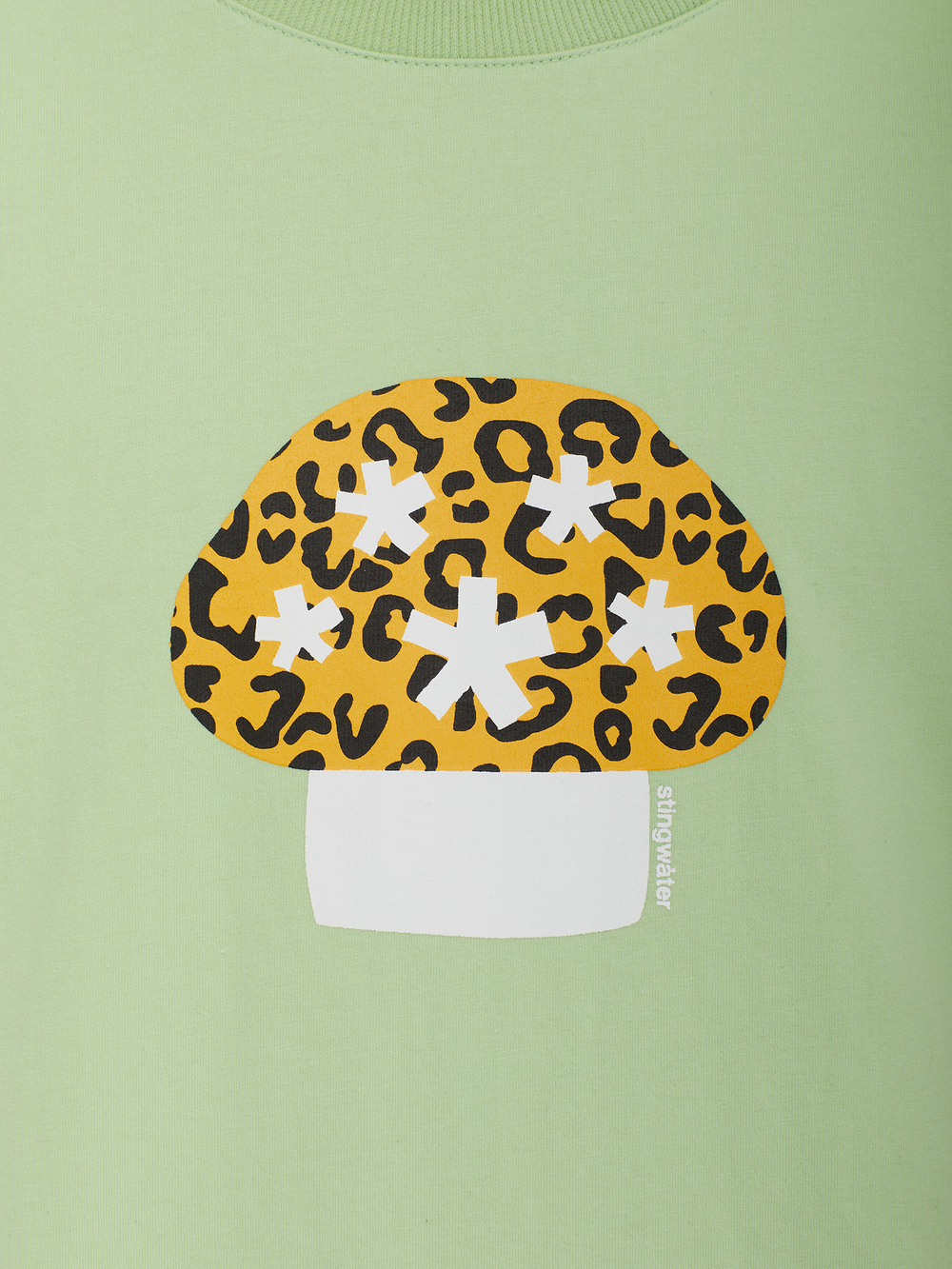 Мужская Футболка Leopard Aga Mushroom
