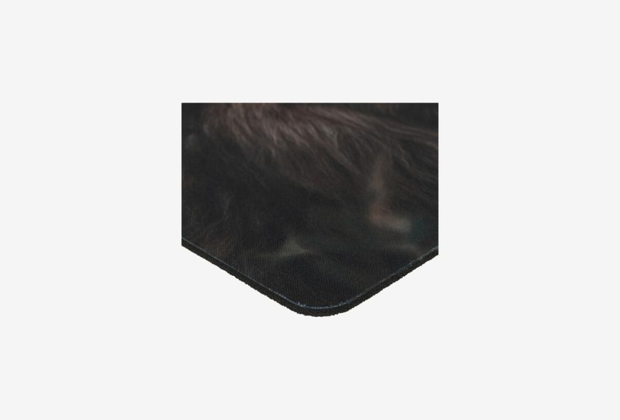 DEXP Lion OM-XS_0326709110121