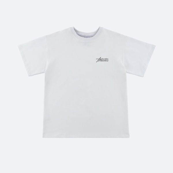 Футболка Anteater Phat Tee 514 (cement) артикул: - купить в магазине Дайс