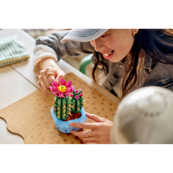 LEGO Botanicals - Цветущий кактус 11509