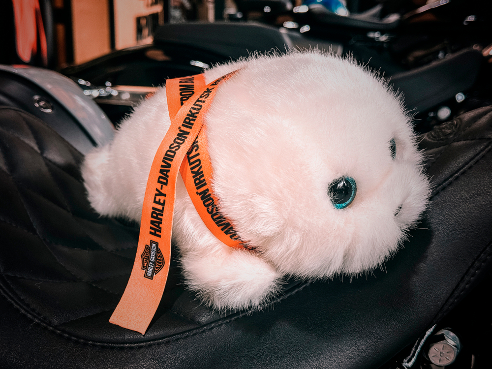 Мягкая игрушка Нерпенок