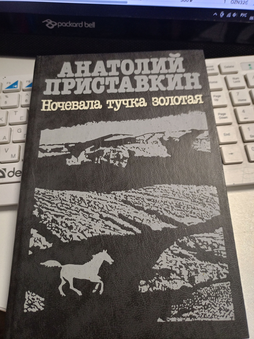 Ночевала тучка золотая