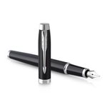 Ручка перьевая Parker IM F