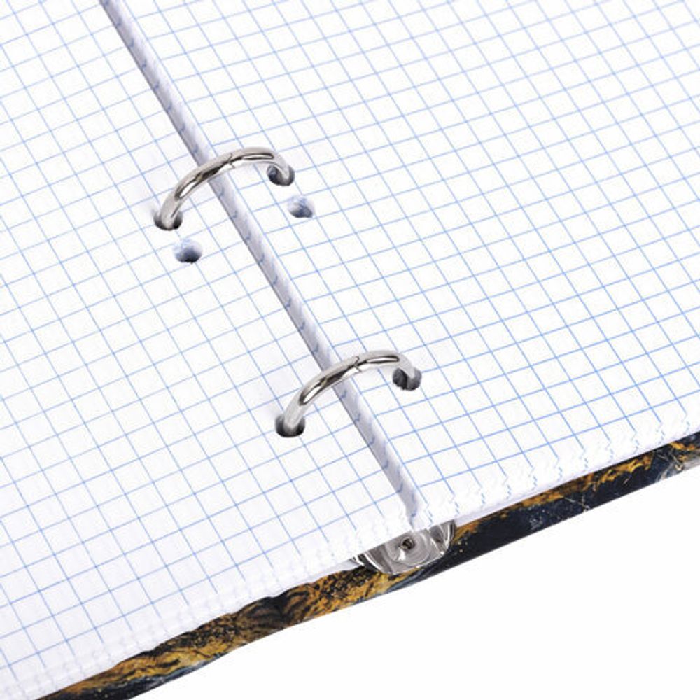 Тетрадь на кольцах А5 175х215 мм, 120 листов, твердый картон, фольга, клетка, BRAUBERG, "Marble", 404719