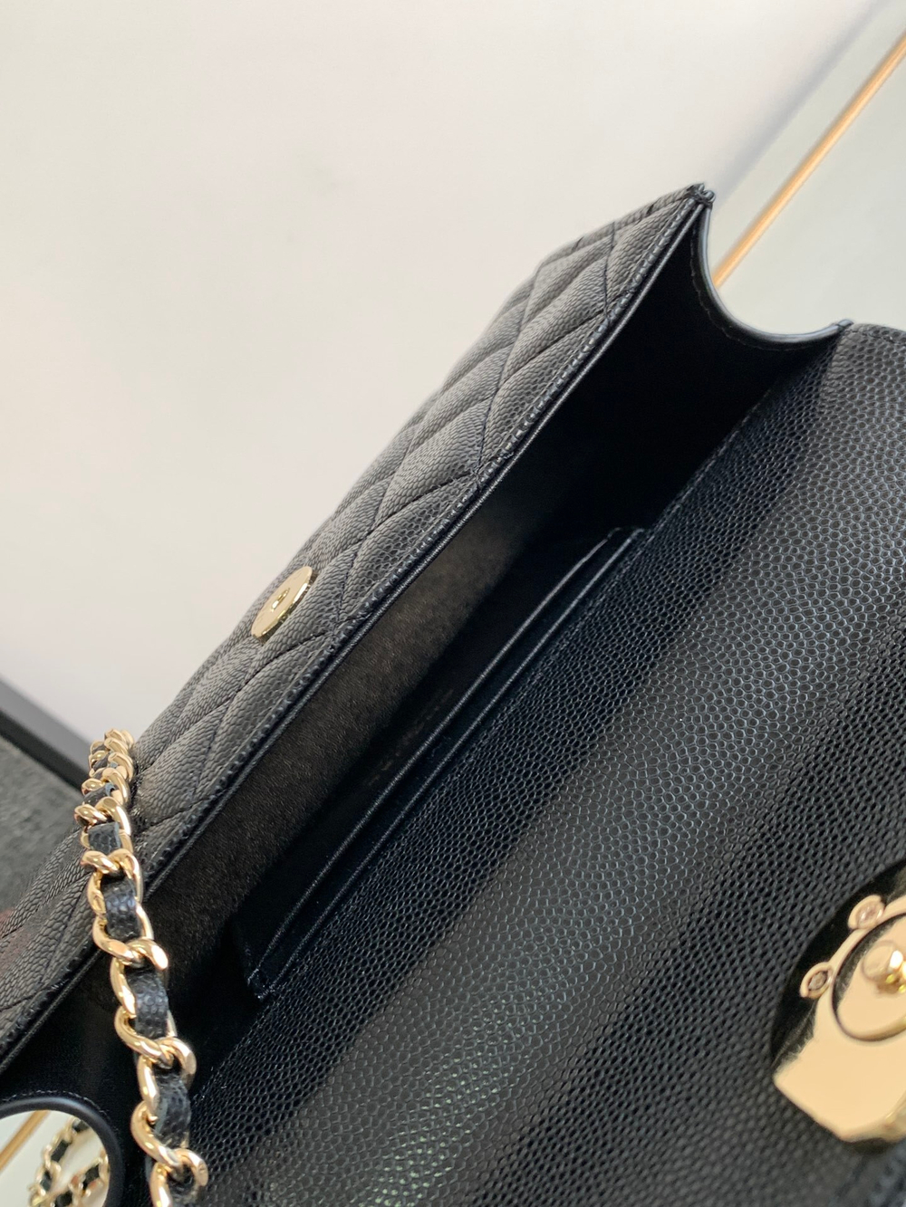 Chanel Bag 19 cm