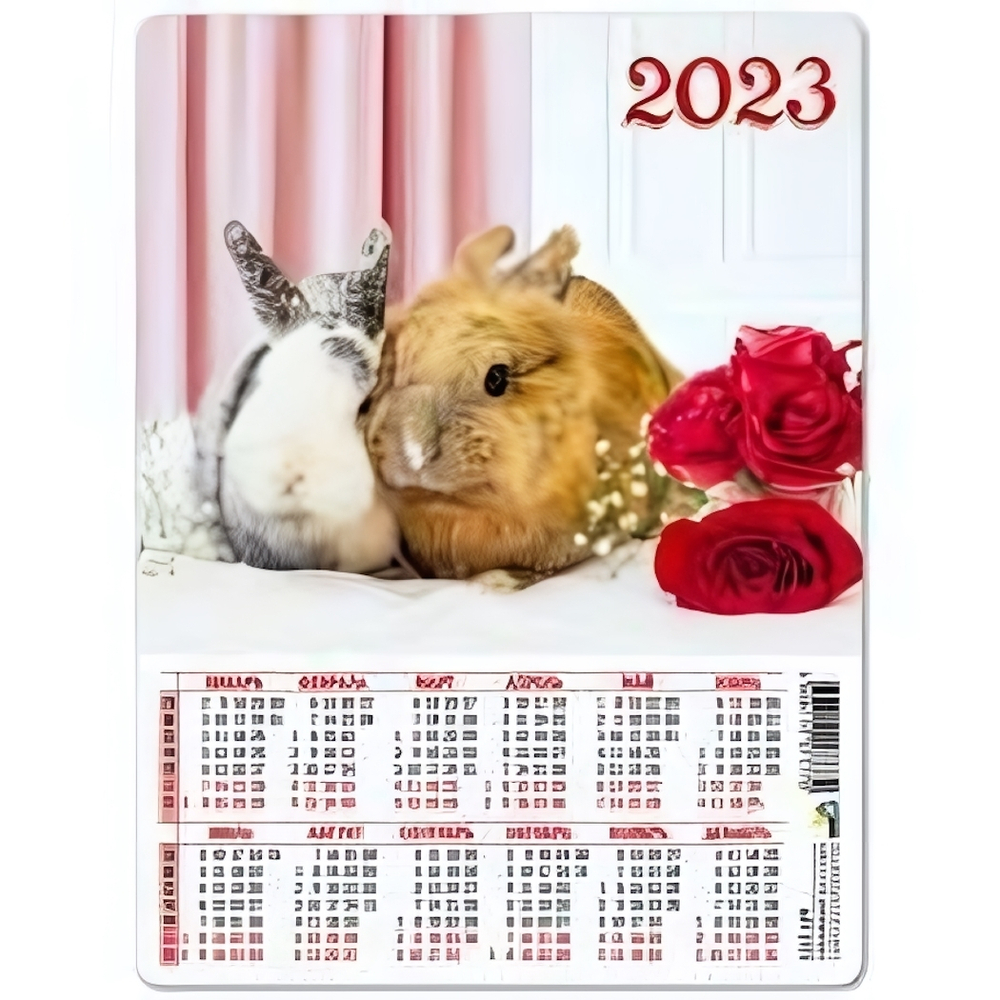 Календарь-магнит А5 2023 символ года. 7425 (КВАДРА)