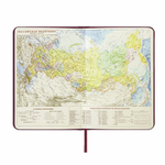 Ежедневник недатированный А5 (138х213 мм) BRAUBERG "Imperial", под гладкую кожу, 160 л., кремовый блок, бордовый, 123415