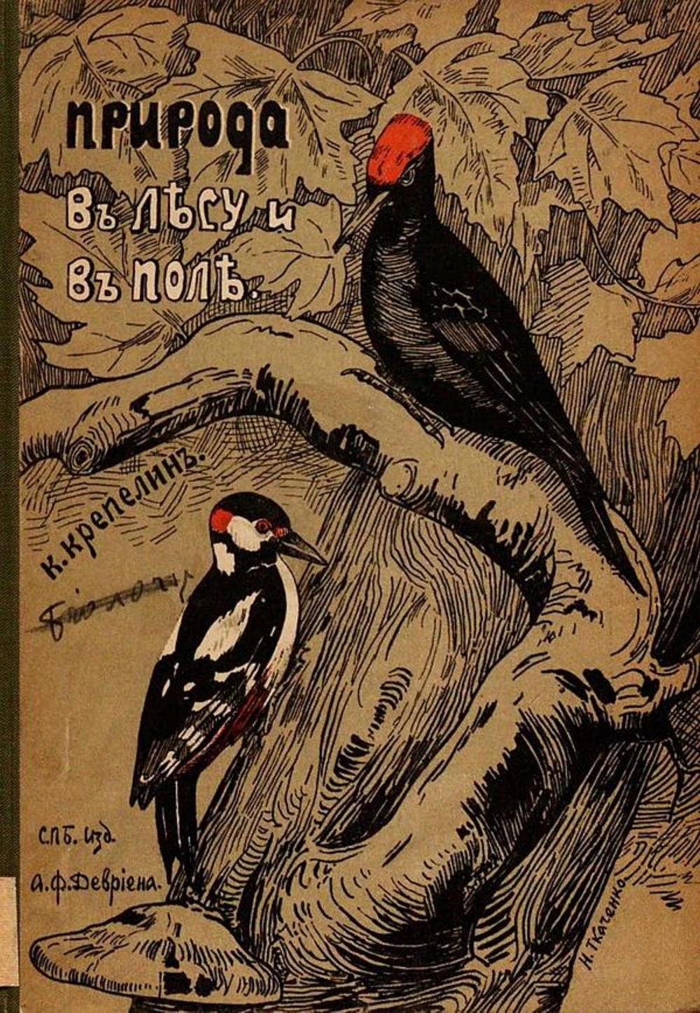 Природа в лесу и поле | Карл Крепелин