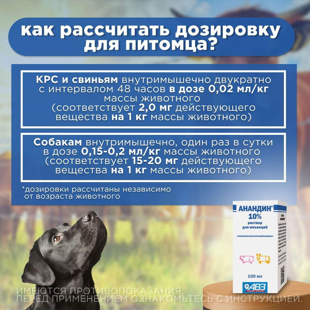 Противовирусный, иммуномодулирующий и противовоспалительный инъекционный раствор для животных, Анандин 10%, АВЗ, 100 мл.