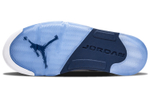 Кроссовки Jordan Air Jordan 5 Retro Low Dunk From Above