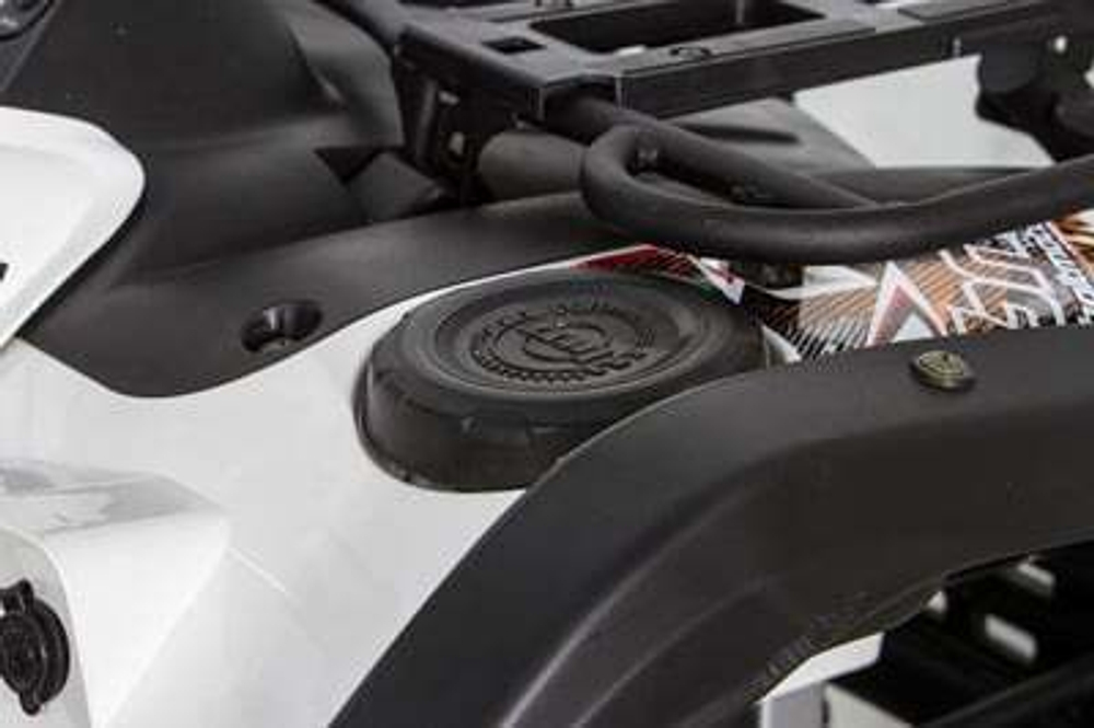 Квадроцикл BALTMOTORS Striker 500 EFI