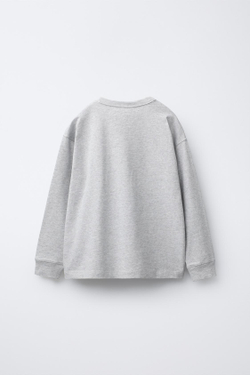 ZARA Х CHAMPION ® ФУТБОЛКА С ЭТИКЕТКОЙ, СЕРЫЙ