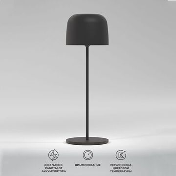 Светильник светодиодный настольный LED 1W 2500К/3200К/4000К TL70260 чёрный Bitty Elektrostandard