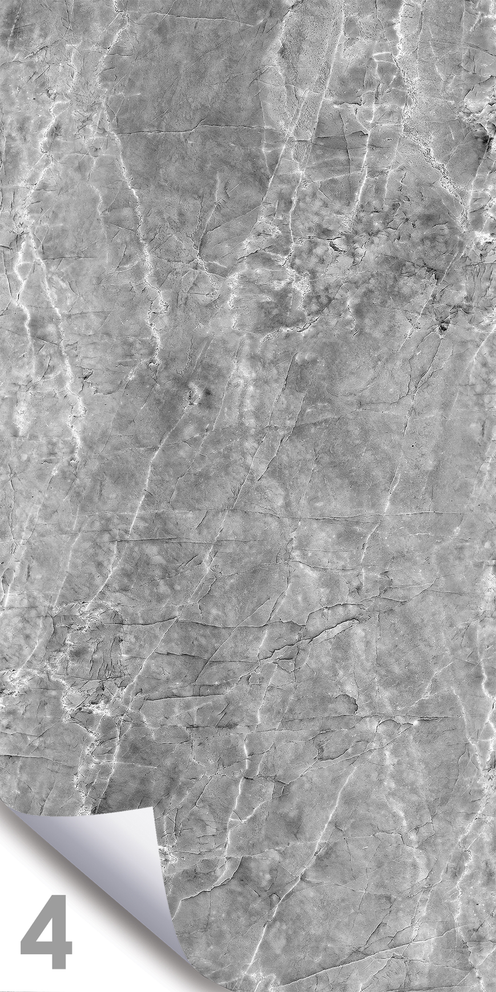 Шерл Сильвер