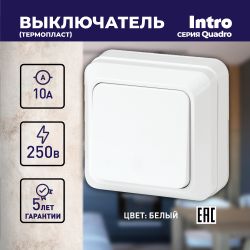 Выключатель Intro Quadro 2-101-01 одноклавишный 10А-250В, IP20, ОУ, белый