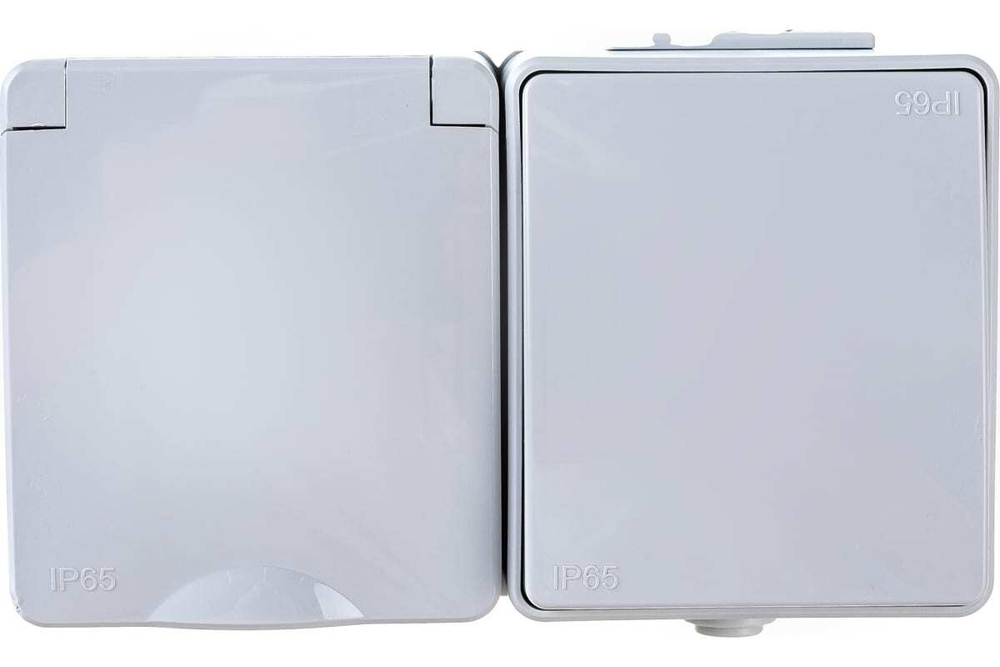 Блок розетка+выкл. гориз. IP65, 16A(10AX)-250В, серый Эксперт ЭРА