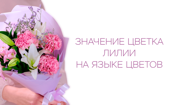 Значение цветка лилии на языке цветов